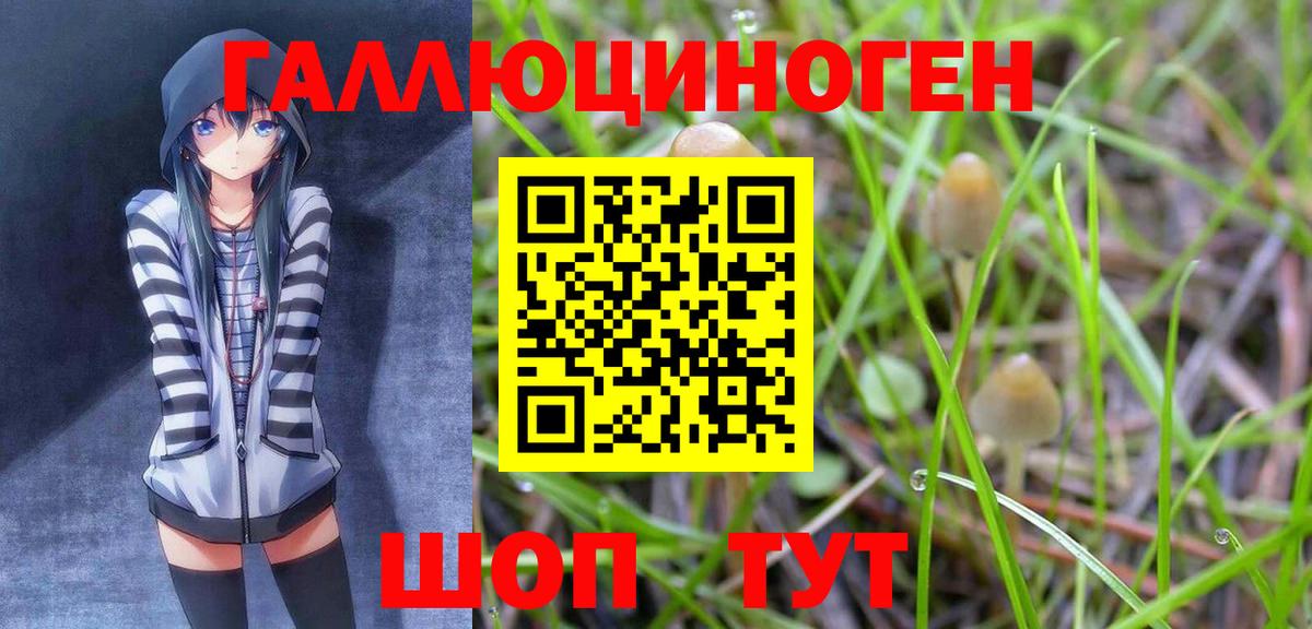 Знаменск  Галлюциногенные грибы GOLDEN TEACHER  Вход с VPN 