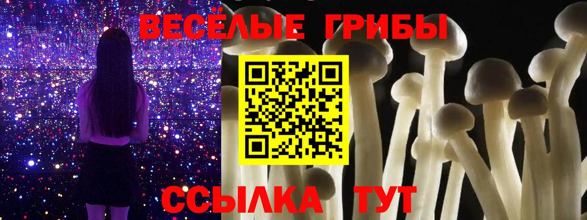 Галлюциногенные грибы GOLDEN TEACHER Знаменск